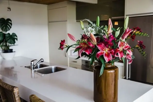 Standard Süit, Birden Çok Yatak Odası, Sigara İçilmez, Küçük Mutfak (Tree Tops Apartment)
