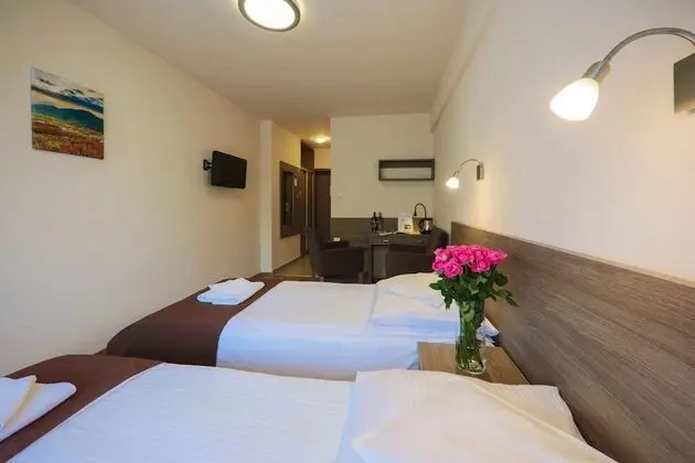 Classic Tek Büyük veya İki Ayrı Yataklı Oda, 1 Çift Kişilik veya 2 Tek Kişilik Yatak (with Extrabed)