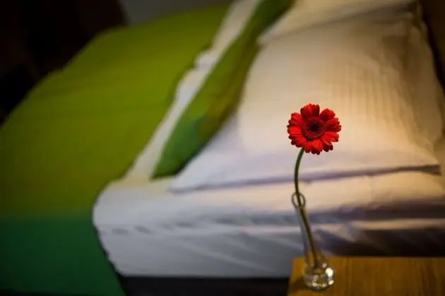 Standard Tek Kişilik Oda, Balkon, Kısmi Deniz Manzaralı