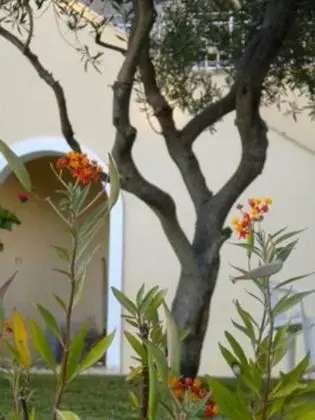 Apart Daire, 1 Yatak Odası, Sigara İçilebilir, Balkon
