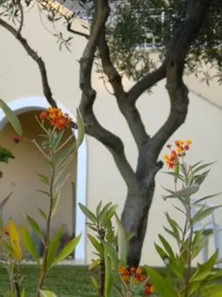 Apart Daire, 1 Yatak Odası, Sigara İçilebilir, Balkon