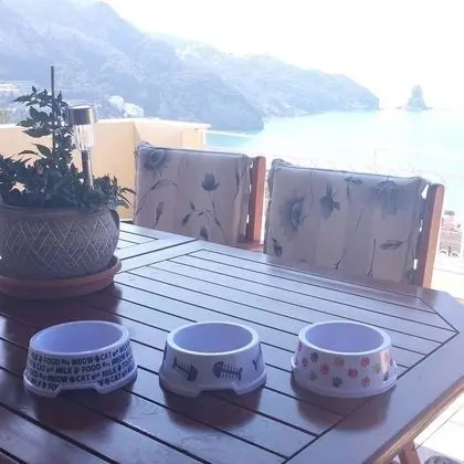 Apart Daire, 1 Yatak Odası, Sigara İçilebilir, Balkon