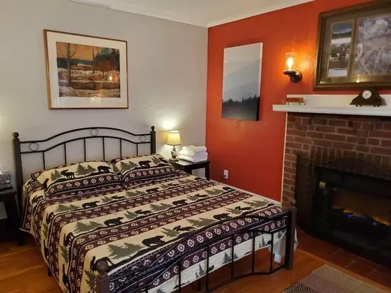 Deluxe Oda, 1 Büyük (Queen) Boy Yatak, Sigara İçilmez