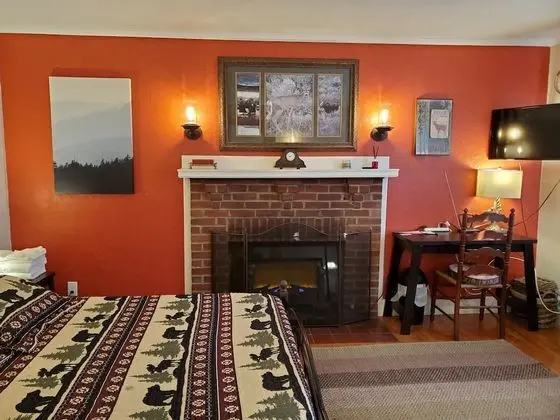 Deluxe Oda, 1 Büyük (Queen) Boy Yatak, Sigara İçilmez