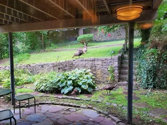 Signature Oda, 1 Büyük (Queen) Boy Yatak, Sigara İçilmez, Bahçe Manzaralı