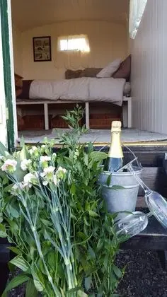 Kulübe (Jazzy Jacob)