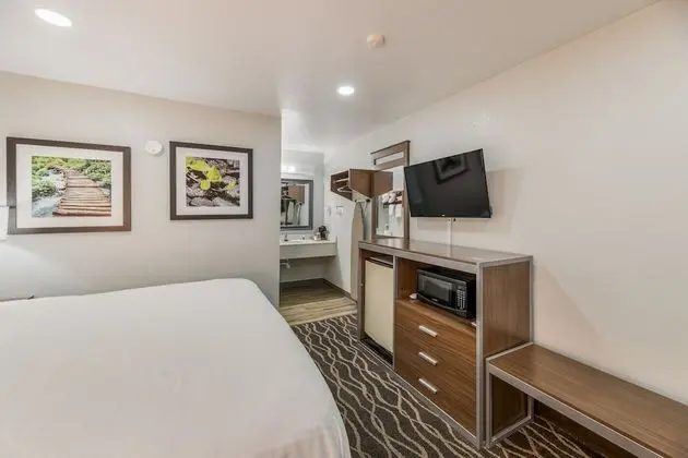 Standard Room, 1 King Bed, Non Smoking
