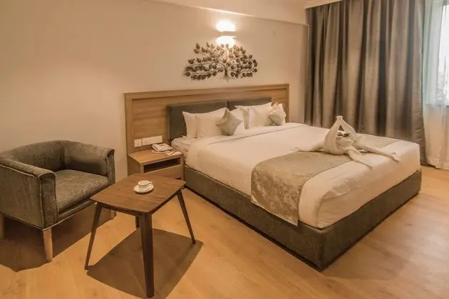 Deluxe Oda, 1 Çift Kişilik Yatak, Şehir Manzaralı