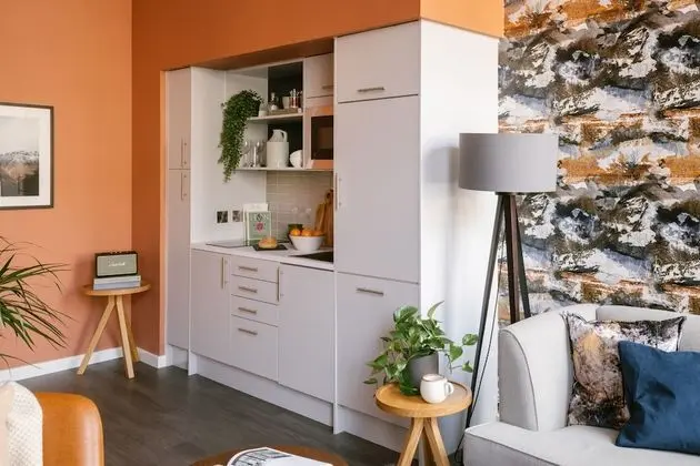 Apart Daire, 1 Yatak Odası