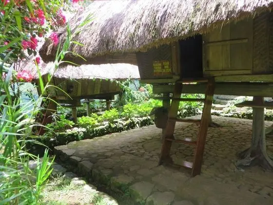 Kır Evi (Native, Good for 3)