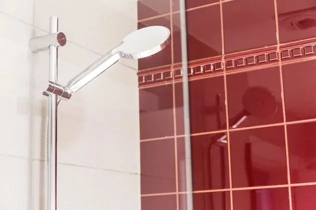 Classic Apart Daire, 1 Yatak Odası, Özel Banyo