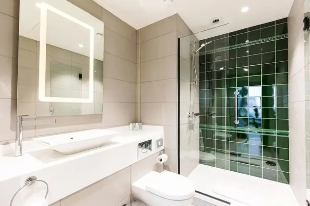 Premium Apart Daire, 1 Yatak Odası, Sigara İçilmez, Mutfak