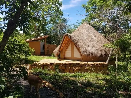 Glamping Carpa estándar