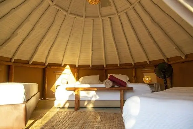 Glamping Carpa Premium
