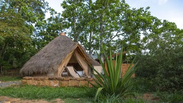 Glamping Carpa Premium