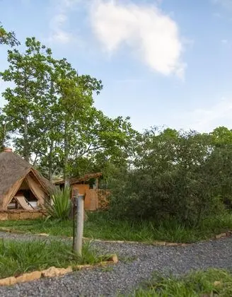 Glamping Carpa Premium