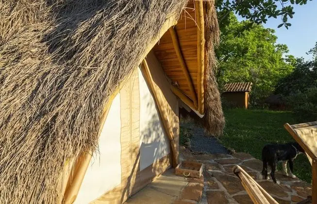 Glamping Carpa Premium