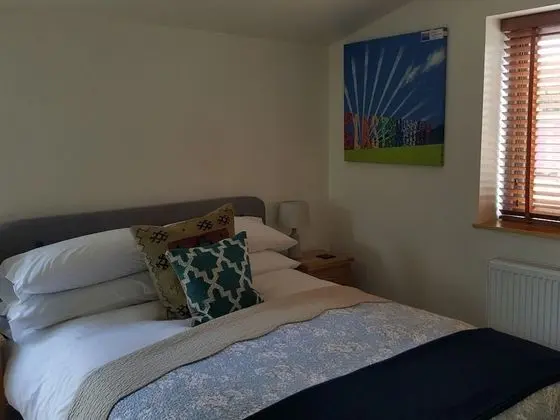 Premium Tek Büyük Yataklı Oda, Banyolu/Duşlu