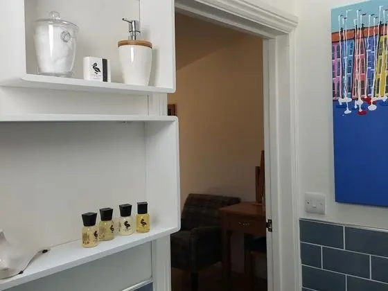 Premium Tek Büyük Yataklı Oda, Banyolu/Duşlu