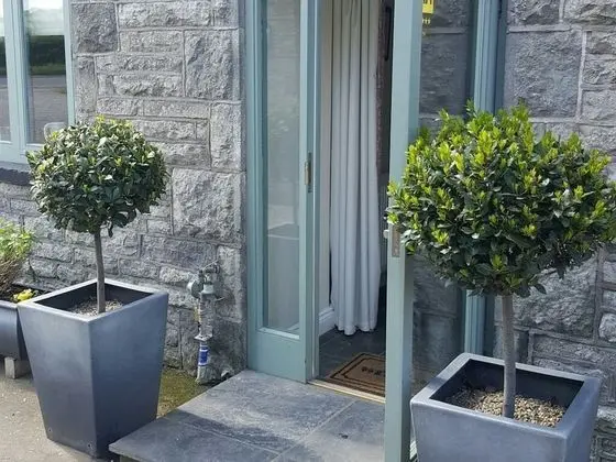 Standard Tek Büyük Yataklı Oda, Banyolu/Duşlu