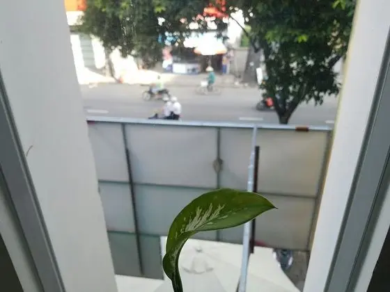 Ortak Ranzalı Oda, Karma Ranzalı Oda