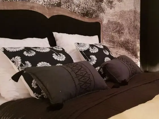 Premium Ev, Özel Banyo, Şehir Manzaralı (Gite Azay Le Rideau)