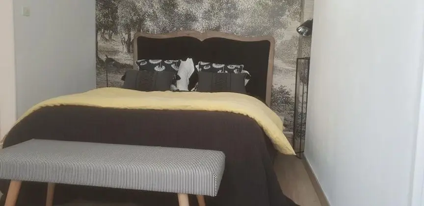 Premium Ev, Özel Banyo, Şehir Manzaralı (Gite Azay Le Rideau)