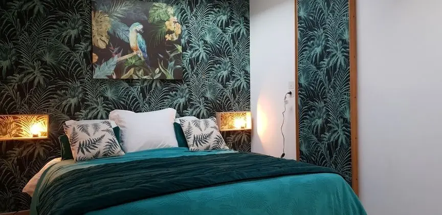 Premium Ev, Özel Banyo, Şehir Manzaralı (Gite Azay Le Rideau)
