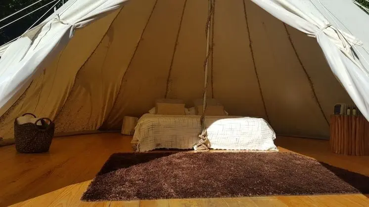 Bed in Shared Dormitory