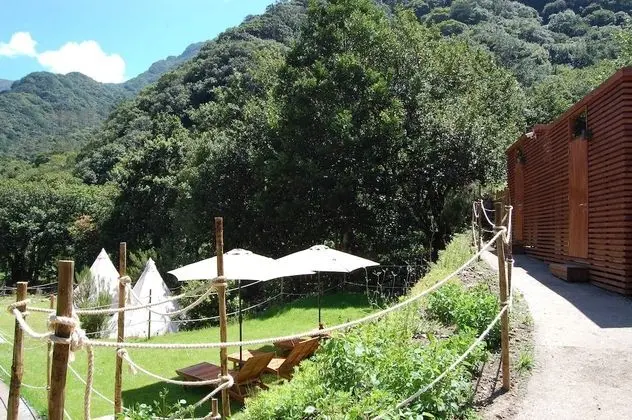 Bed in Shared Dormitory