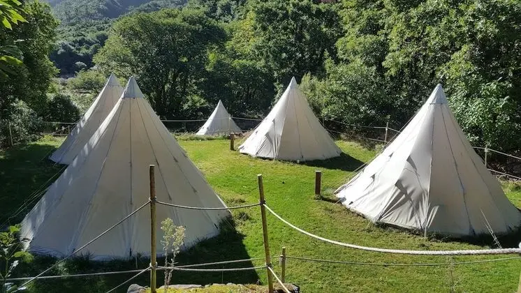 Çadır