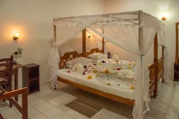 Deluxe Double Room, 1 Bedroom, Terrace, Ocean View (Ayurveda Treatments with Yoga)