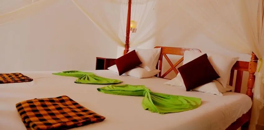 Deluxe Double Room, 1 Bedroom, Terrace, Ocean View (Ayurveda Treatments with Yoga)