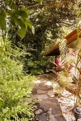 Jungle View Triple