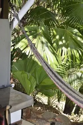 Jungle View Triple