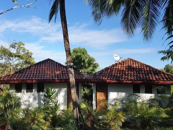 Tropical Garden