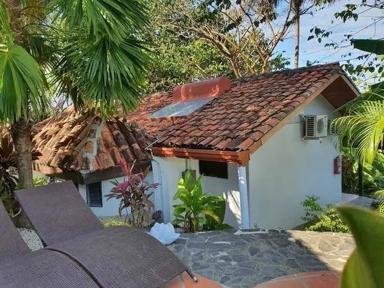 Tropical Garden