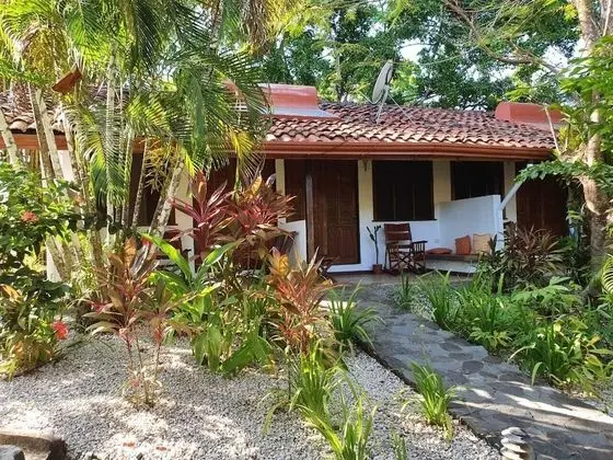 Tropical Garden