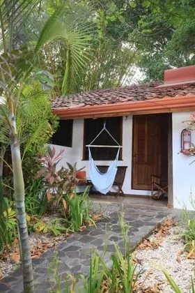 Tropical Garden