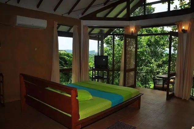 Deluxe Oda, 1 Çift Kişilik Yatak