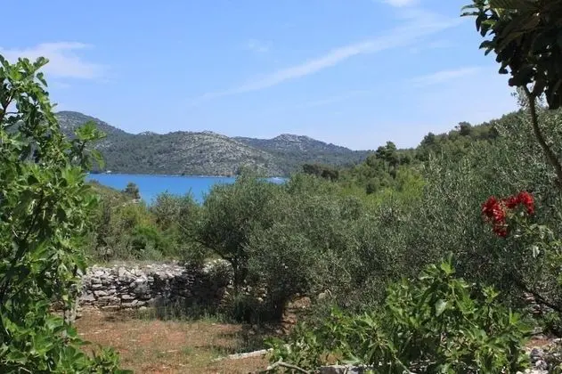 Ev (Nature park - relaxing and comfortabl)