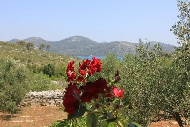 Ev (Nature park - relaxing and comfortabl)