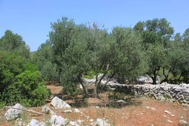 Ev (Nature park - relaxing and comfortabl)