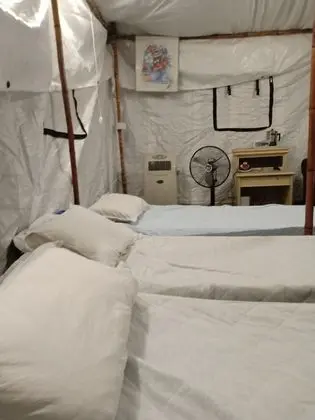 Basic Çadır, 1 Yatak Odası, Ortak Banyo, Bahçe Manzaralı