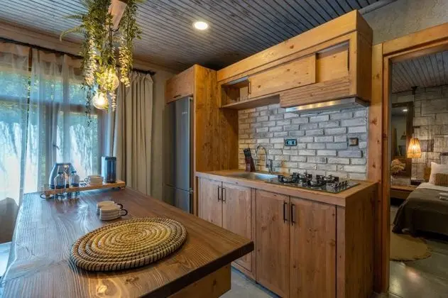Villa 2+1 Oda, Bahçe Manzaralı, Balkonlu