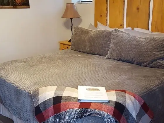 Premium Tek Büyük Yataklı Oda, Banyolu/Duşlu, Avlu Manzaralı (Tuolumne Meadows Room)