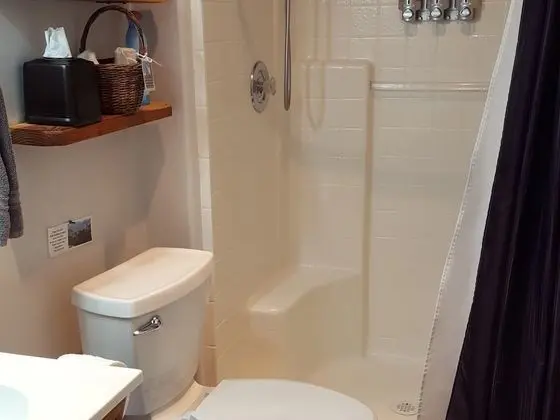 Premium Tek Büyük Yataklı Oda, Banyolu/Duşlu, Avlu Manzaralı (Tuolumne Meadows Room)
