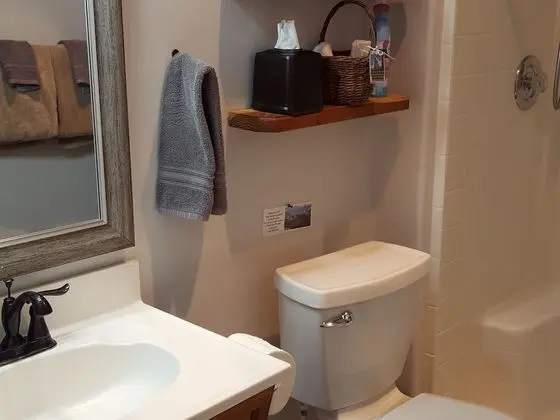 Premium Tek Büyük Yataklı Oda, Banyolu/Duşlu, Avlu Manzaralı (Tuolumne Meadows Room)