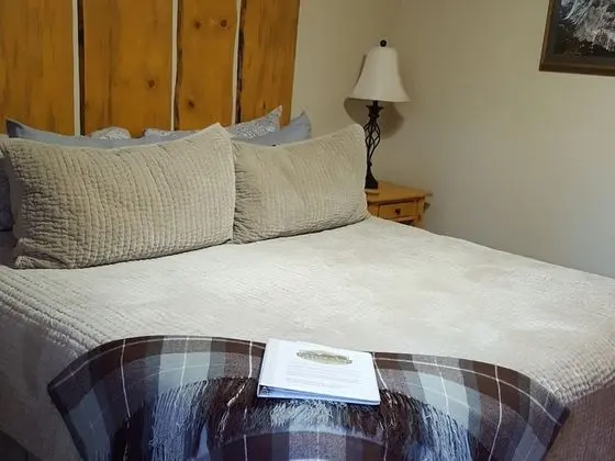 Premium Tek Büyük Yataklı Oda, Banyolu/Duşlu, Avlu Manzaralı (Vernal Falls Room)