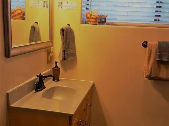 Premium Tek Büyük Yataklı Oda, Banyolu/Duşlu, Avlu Manzaralı (Vernal Falls Room)